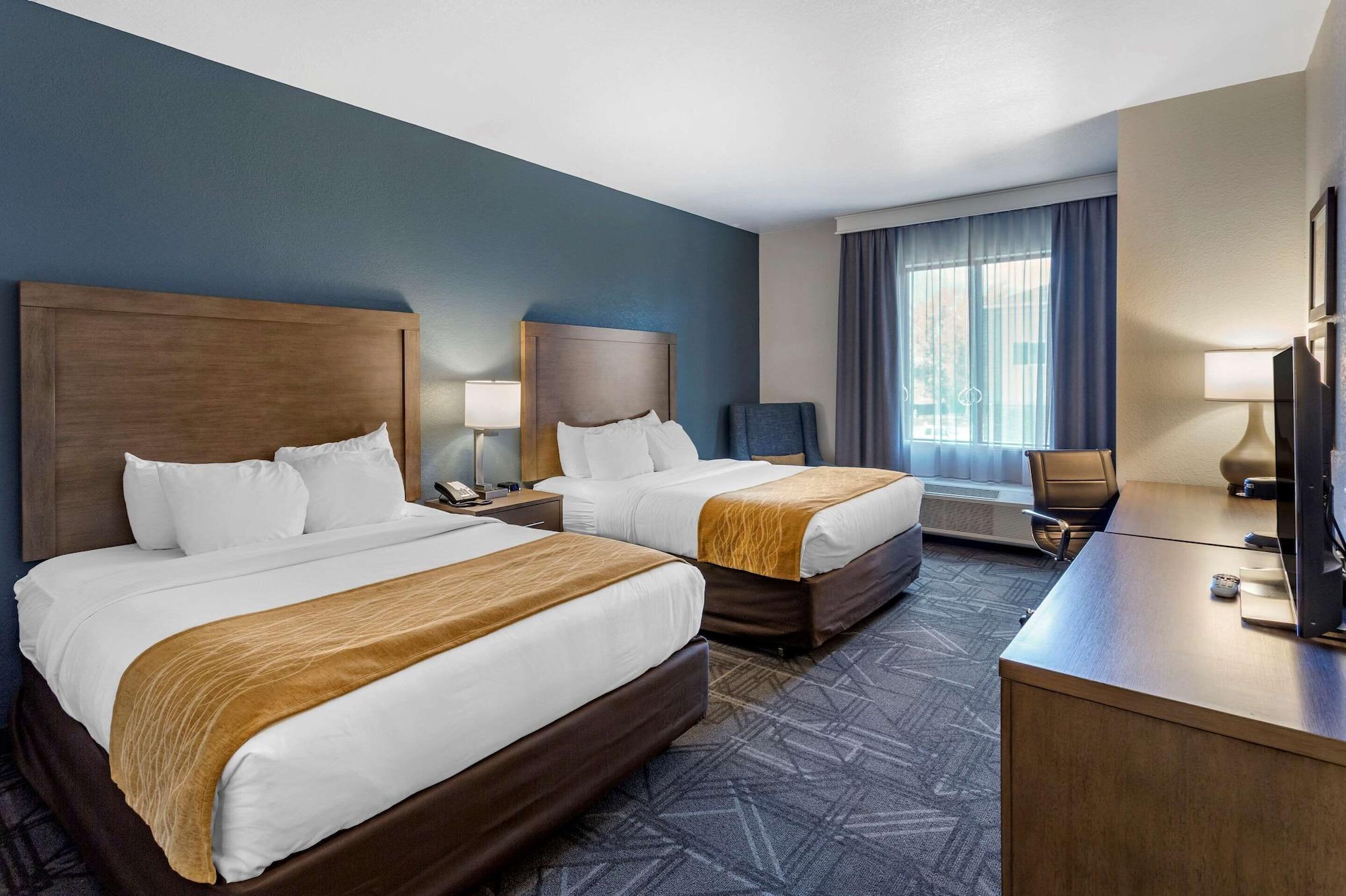 Comfort & Salt Airport Hotel