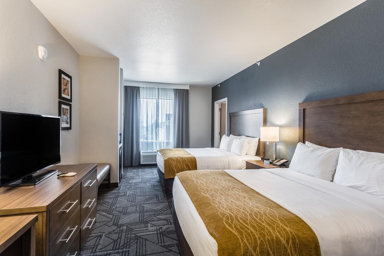 Comfort & Salt Airport Hotel 3*
